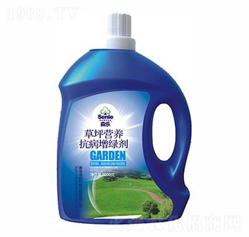 ��ƺ�I(y��ng)�B(y��ng)�������G��-ɭ��-�����r(n��ng)��