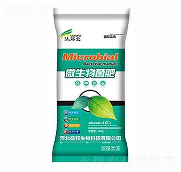 ΢�������-ʢ������