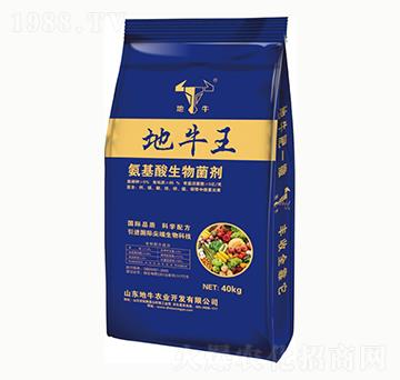 �������������-��ţ��-��ţ