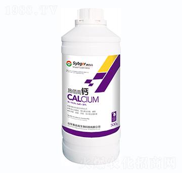 ʩ�۸��}-ʩ�۸�