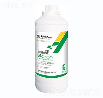 ʩ�۸���-ʩ�۸�