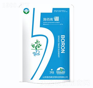 ʩ�۸ߡ���-ʩ�۸�