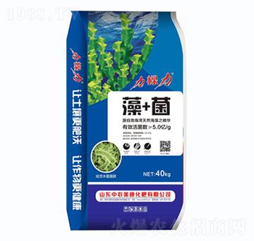 ��+��-������-���r(n��ng)����