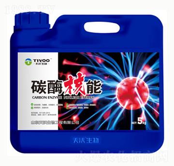 ̼ø����-��¹����