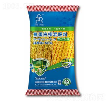 �~���ד������26-1