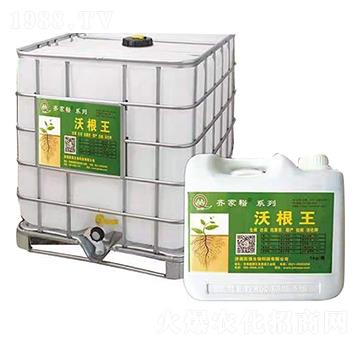 �ָ���-�R��ԣ-������