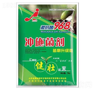 �_ʩ����-��������