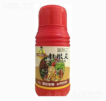 ��ˎ�ĉѸ��`-��(��i)���_(d��)