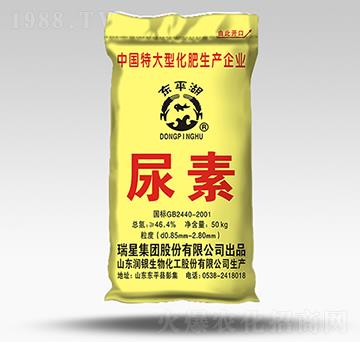 50kg����-�|ƽ��-����