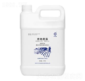 農(nóng)地美藻-農(nóng)地美