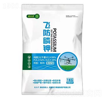 �w����⛣��򻯼���-Ӣ����