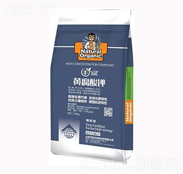 �S�����-�S���`-��������