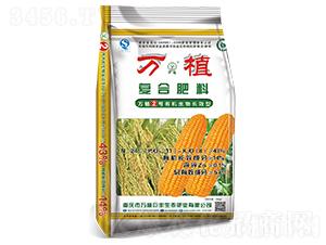 �ЙC(j��)�LЧ�͏�(f��)�Ϸ�24-11-8-�fֲ2̖(h��o)