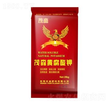 ïɭ�S�����-�̵�