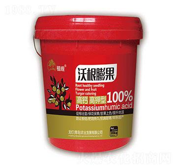 高鈣高鉀型沃根膨果-植觀-龍燈農(nóng)業(yè)