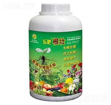 1kg樂吧根壯-百陽墾