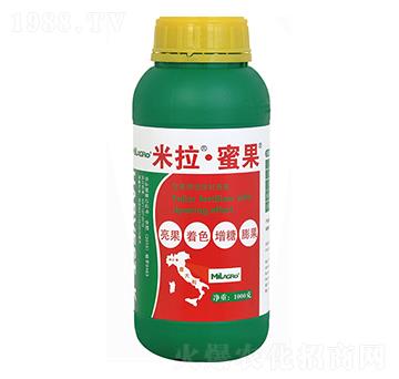 �����۹�-���h