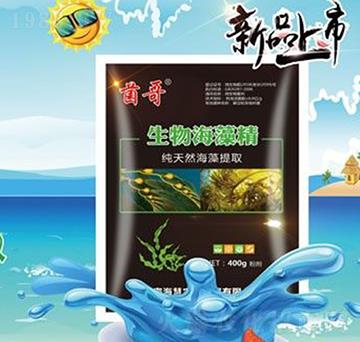 ���ﺣ�徫-����