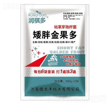 �ݲ�ѿ�ߗU��-���ֽ����-�ݠ��S����