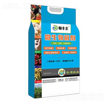 玉米、水稻、大田專用微生物菌劑-頓豐圭