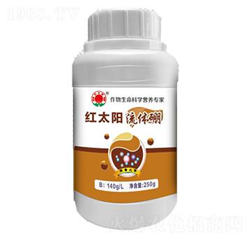 ���w��-�t̫�(y��ng)-�ư���