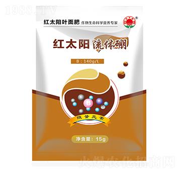 ���w�𣨴���-�t̫�(y��ng)-