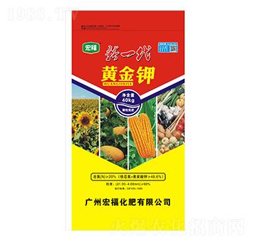 新一代黃金鉀-宏?；? width=