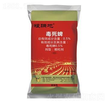 �����硤���ط��xˎ��-�Z�m��-�����S����