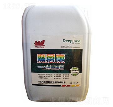 ħ��������~����-ʥ�ɶ�