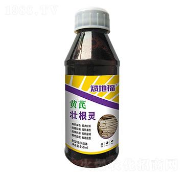 �S�ΉѸ��`-���_����