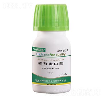 �|̦�؃���-�ƺ���