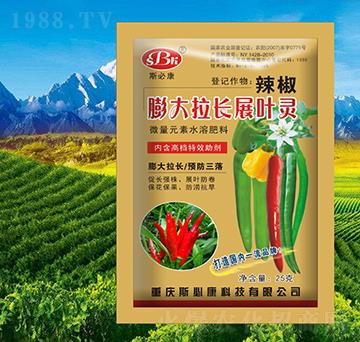 辣椒膨大拉長展葉靈-斯必康