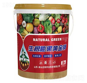 生根膨果黃金鉀-正陽