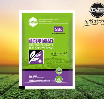 ��⛹����~���-������