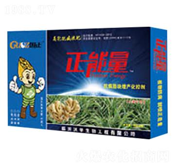 大姜專用抗病膨塊增產(chǎn)化控劑-正能量