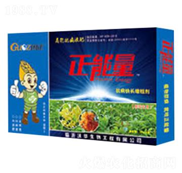 桂花專用抗病快長增粗劑-正能量