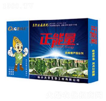 黃瓜專用抗病增產強壯劑-正能量