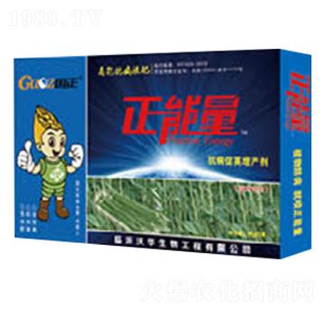 豆角專用抗病促莢增產(chǎn)劑-正能量