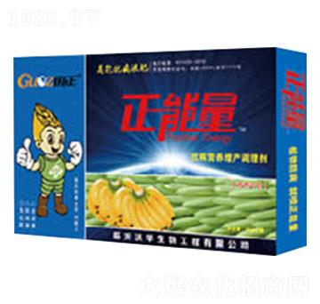 香蕉專用抗病膨果增產(chǎn)調(diào)理劑-正能量
