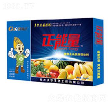 �V�V��ֲ�����L(zh��ng)������(qi��ng)�ф�-������