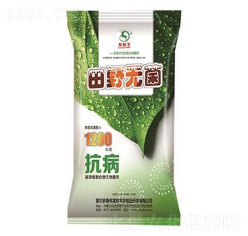 ����s��(f��)��΢�������-��Ұ�o��-�l(f��)ؔ(c��i)��