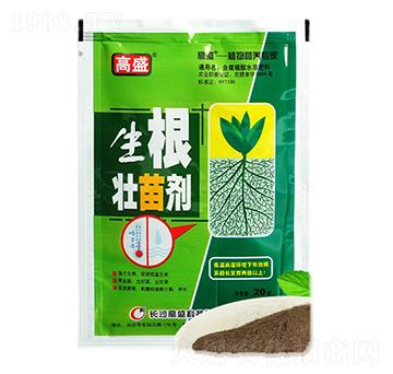 �������焩-���n��