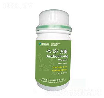 九洲紅萬(wàn)美-星億農(nóng)業(yè)