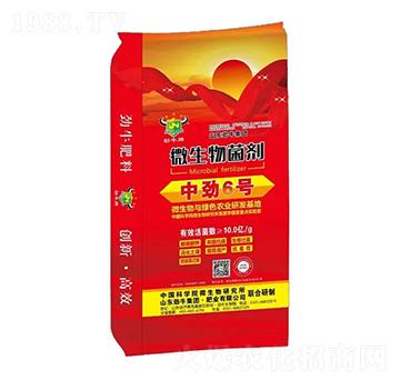 微生物菌劑-中勁6號-勁牛