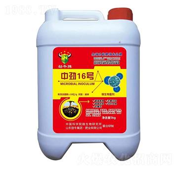 中勁16號微生物菌劑-勁牛