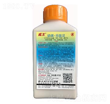 50%��ǡ�����`�Ҹ���-����-�p������