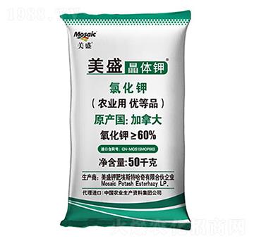 ��ʢ�ƾ��w�-¡���r(n��ng)�Y