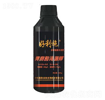 �S���ả���-��(r��n)�ʘI(y��)