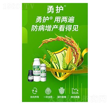 ���o-�����A��