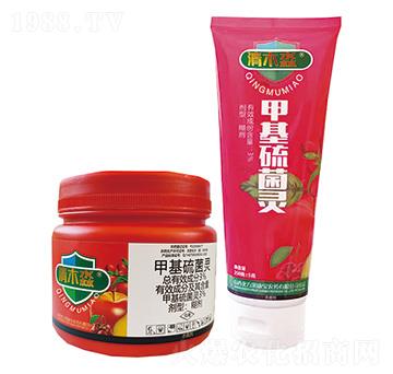 3%�׻�����`����-��ľ��-������